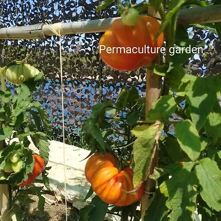 Keromoussi Seaside Boutique - Adult Only Katomerion