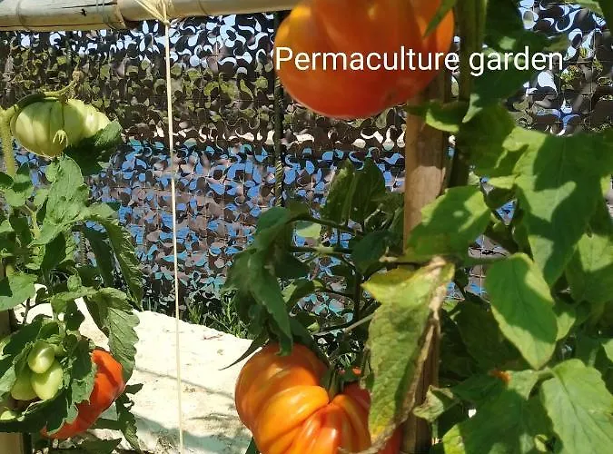 Keromoussi Seaside Boutique - Adult Only Katomerion